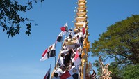 Sejumlah keluarga Puri Agung Denpasar menurunkan peti jenazah Raja Denpasar IX Ida Tjokorda Ngurah Jambe Pemecutan dari bade atau menara usungan saat upacara Pelebon di Denpasar, Bali, Rabu (21/6/2023).  