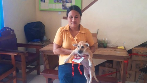 Masyarakat saat melakukan vaksinasi mandiri di Puskeswan Kabupaten Karangasem, Rabu (21/6/2023).