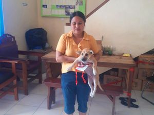 Takut Rabies, Warga Karangasem Ramai-ramai Vaksinasi Anjing Peliharaan