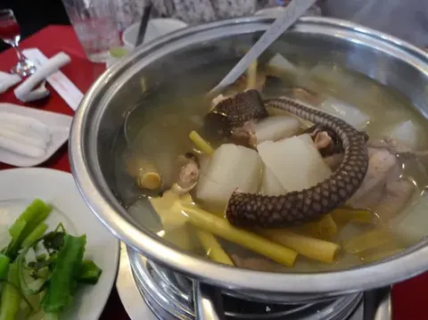 Di 5 Negara Ini, Daging Ular Jadi Santapan Favorit yang Populer