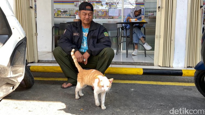 Irwan dan kucing bernama Michael.