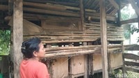 Jumlah penduduk di Kampung Balemalang hanya ada 7 Kelapa Keluarga (KK). (Foto: Erick Disy Darmawan/detikJabar)