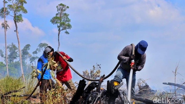 Kebakaran hutan di kawasan Cagar Biosfer GSK, Bengkalis, Riau.