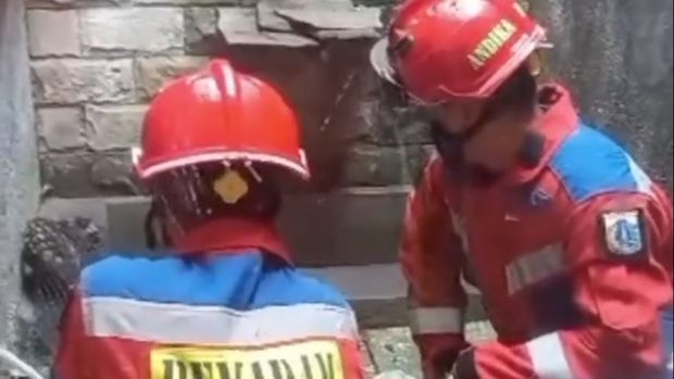Kehadiran seekor musang membuat panik warga Cipayung, Jakarta Timur (Jaktim). Musang tersebut masuk ke rumahnya dan meringkuk di pinggir kolam ikan di rumahnya. (IG @cipayungfirerescue)