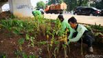 Potret Kolong Tol Becakayu Dipercantik dengan Penghijauan