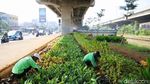 Potret Kolong Tol Becakayu Dipercantik dengan Penghijauan
