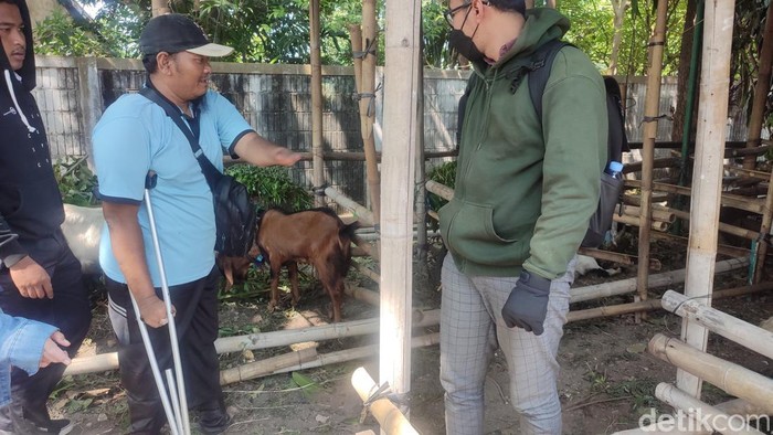 Muhammad Halim penyandang disabilitas Semarang di lapak hewan kurbannya, Kamis (22/6/2023).