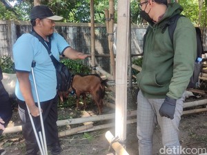 Perjuangan Halim Difabel Asal Semarang Cari Cuan saat Idul Adha