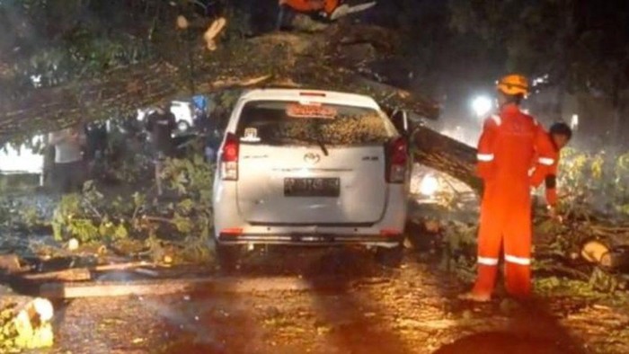 Pohon tumbang menimpa mobil warga bernama Muhammad Akbar di Kota Palopo. Dokumen Istimewa