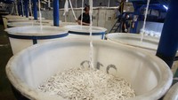 PT Inocycle Technology Group setiap tahunnya mampu memproses tiga miliar sampah botol plastik bekas menjadi dacron.
