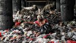 Potret Muram Jakarta di Hari Ulang Tahun ke-496