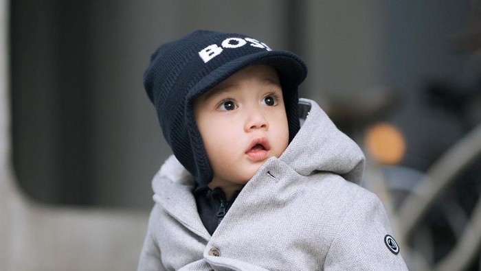 Mendadak Viral usai Jadi Menu Favorit Cipung, Ini Kandungan Ikan Shisamo