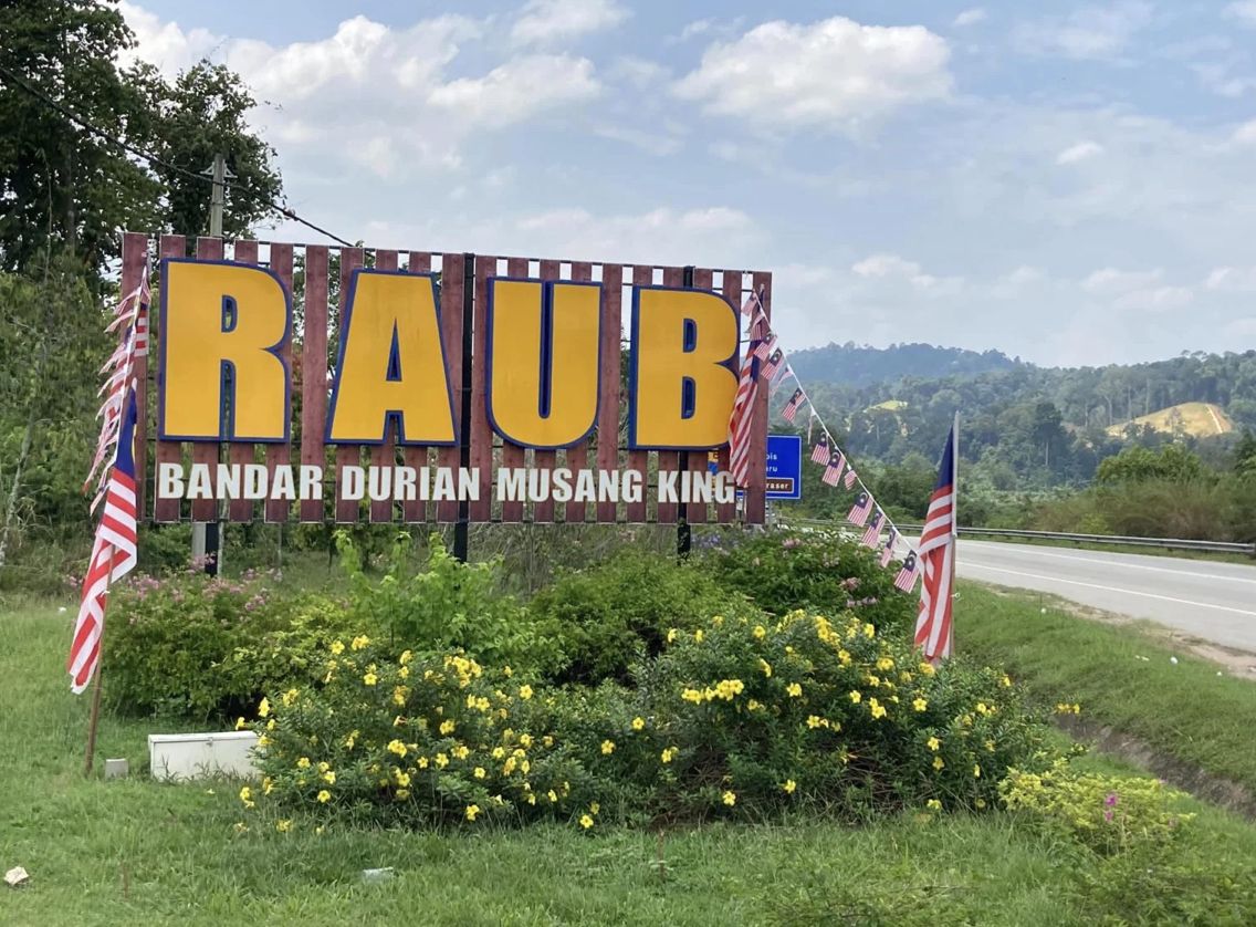 Ramai Peminat! Trip Singapura-Pahang Demi Cicip Durian Musang King Fresh