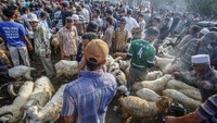 Sekitar 900 ekor sapi dan 700 ekor kambing dan domba dari berbagai jenis dijajakan di pasar hewan tersebut. 