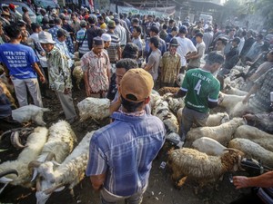 Hukum Kurban untuk Orang yang Sudah Meninggal, Ini Pendapat Ulama