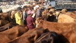 Ramainya Pasar Hewan Jonggol Jelang Idul Adha