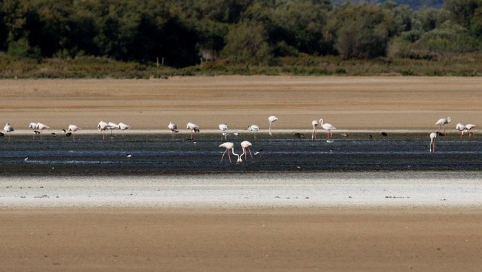 A view shows cracked ground on the Susqueda reservoir, as drinking water supplies have plunged to their lowest level since 1990 due to extreme drought, ahead of the World Day to Combat Desertification and Drought, near Girona, Spain June 16, 2023. REUTERS/Nacho Doce