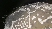 Karena kekeringan ini tanah di waduk Susqueda retak. Akibat kekeringan ini mempengaruhi penyaluran air minum.