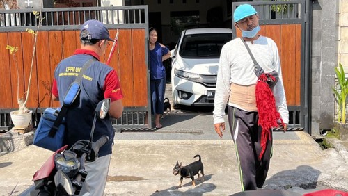 Dinas Pertanian Gianyar menyebut 29 desa ditetapkan sebagai zona merah rabies. 49 ekor anjing di sana positif rabies.