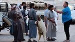 Begini Suasana Jual Beli Hewan Kurban di Arab Saudi