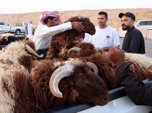 Begini Suasana Jual Beli Hewan Kurban di Arab Saudi