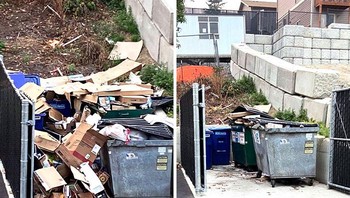 Saat tempat sampah dibereskan hasilnya lebih sedap dipandang. Foto: Boredpanda