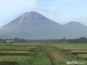 Semeru Alami 12 Kali Letusan dalam 6 Jam, Status Masih Siaga