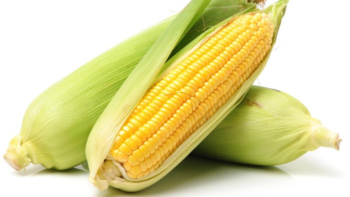 Jagung manis untuk sup jagung manis