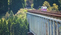Takachiho Amaterasu Railway, perusahaan kereta yang beroperasi di Prefektur Miyazaki, Jepang menggunakan bahan bakar biodiesel ini sejak 1 Agustus 2022. Pihaknya memanfaatkan minyak jelantah hingga sisa kaldu ramen.  