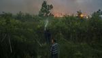 Kebakaran Lahan di Kalsel Nyaris Merambati Permukiman Warga