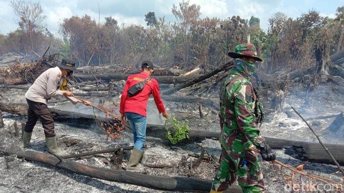 Kebakatan hutan di Taman Nasional Tesso Nilo, Pelalawan, Riau.