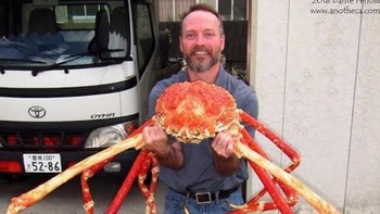 Kepiting ini tidak berburu. Ia lebih suka mengais hewan mati atau materi tumbuhan, meskipun mereka mungkin juga memakan ikan hidup atau invertebrata seperti krustasea lainnya. Foto: Jungle Dragon
