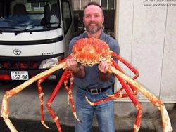 Foto-foto Menakjubkan Kepiting Terbesar di Dunia