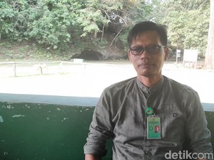 Kisah Hidup Sang Penjaga Hutan Priangan Timur