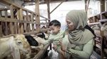 7 Momen Nathalie Holshcer Ajak Kambing Kurban Naik Alphard