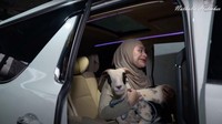 Hasilnya, Nathalie Holscher pulang memangku kambing tersebut di dalam mobil Toyota Alphard miliknya. Foto: YouTube Nathalie Holscher