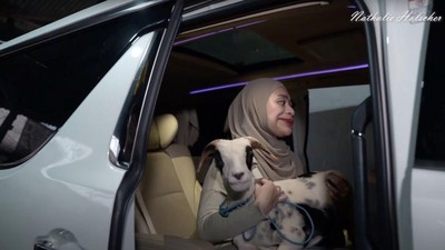 7 Momen Nathalie Holshcer Ajak Kambing Kurban Naik Alphard