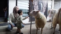 Nathalie Holscher ditemani Adzam melihat beberapa kambing. Foto: YouTube Nathalie Holscher