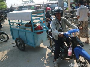 Ini Ojek Kambing, Operasinya Antar Kabupaten