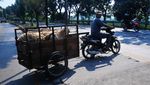 Ojek Kambing Laris Manis Menjelang Idul Adha