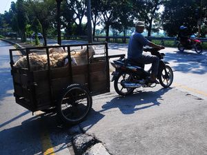 Ojek Kambing Laris Manis Menjelang Idul Adha