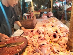 Viral Pedagang Ayam Potong di Sleman Diprotes gegara Jual Murah