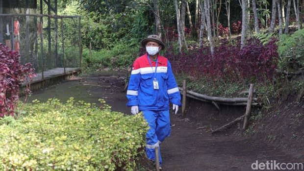 Penanggung jawab Kandang Edukasi PKEK Abdul Rosyad. (Foto: Wisma Putra/detikJabar)