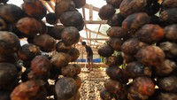 Menurut pengepul permintaan pasar ekspor buah pinang meningkat sejak tiga bulan terakhir dari biasanya rata?rata satu ton per bulan menjadi rata-rata tiga ton per bulan dengan harga Rp17.000 per kilogram, sedangkan harga pada tingkat petani Rp13.000 per kilogram.