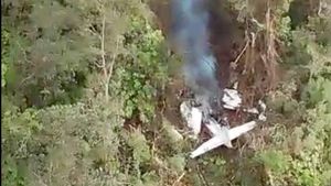 Potret Puing Pesawat SAM Air Berasap Usai Jatuh di Hutan Yalimo Papua