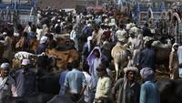 Kesibukan mulai terlihat di pasar hewan menjelang Idul Adha. (AP Photo/Muhammad Sajjad)