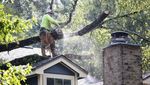 Rumah Rusak-Pohon Tumbang Diterjang Tornado di Texas