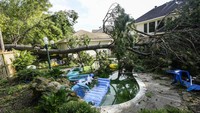Sebuah pohon tumbang di halaman belakang rumah warga di Spring, Texas. Brett Coomer/Houston Chronicle via AP. 