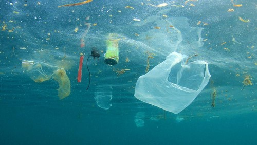 Sampah plastik yang berbahaya bagi lingkungan, salah satunya ekosistem laut.
