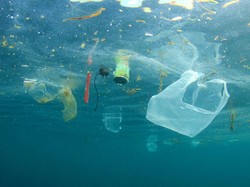 Ilmuwan Temukan Mikroba Pemakan Plastik di Lautan